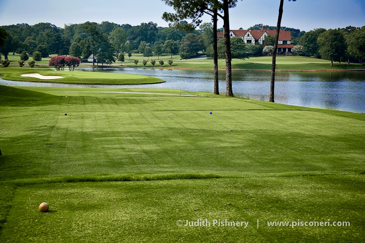 The Lakes, Waycross, Golf course information and reviews.