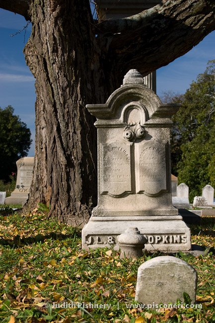 04/24      |      Historic Oakland Cemetery . Atlanta, Georgia