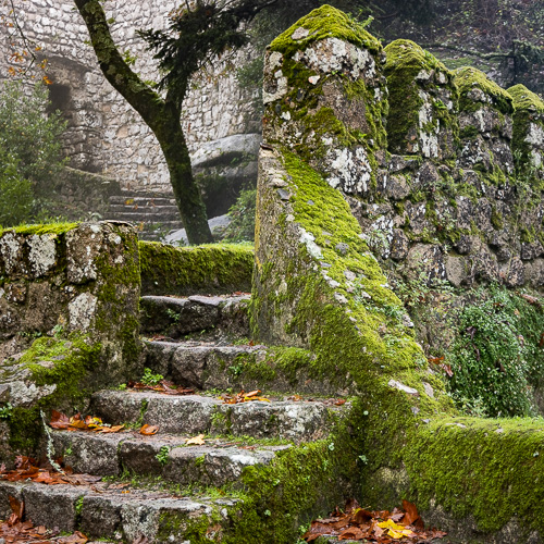 sintra moorish castel in fog