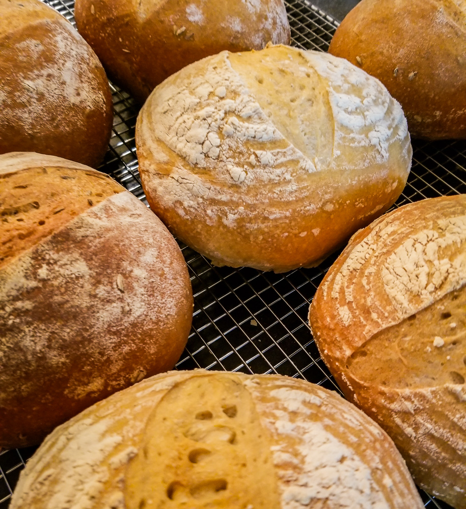 variety of sourdough bread loaves