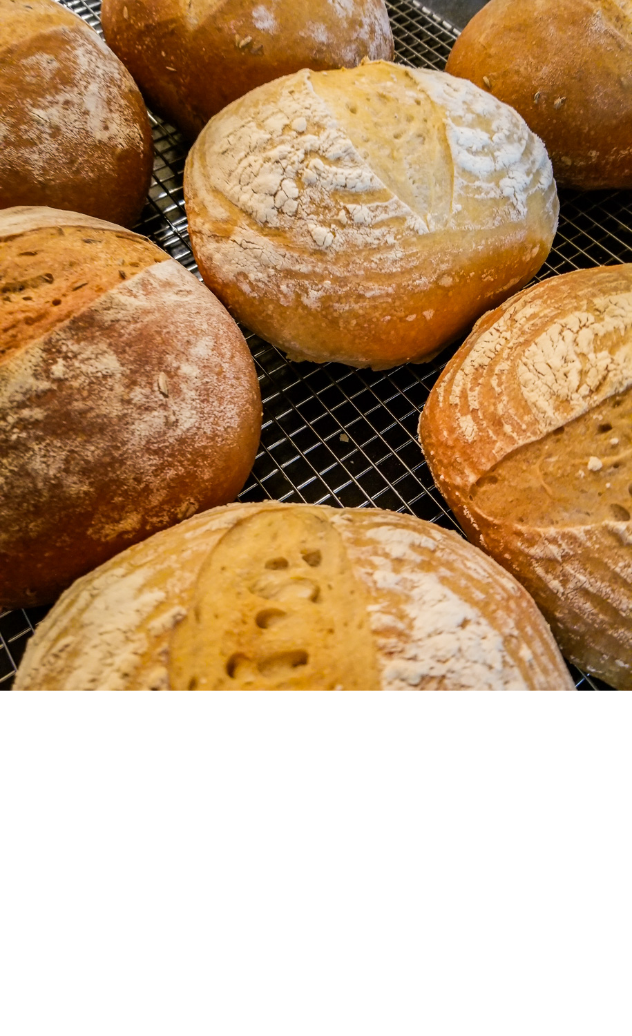 variety of sourdough bread loaves