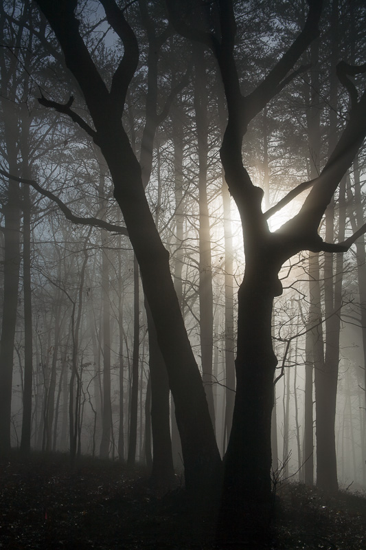 building detail of windows at night